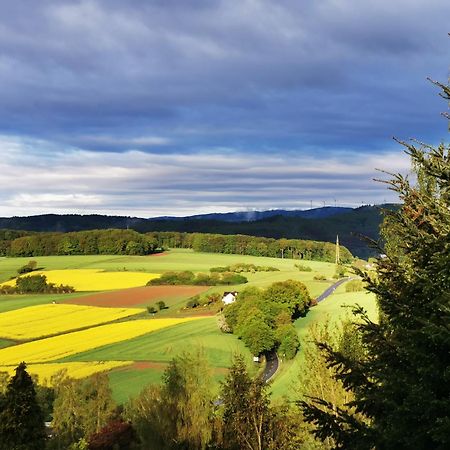 Geraeumige 2-Z Wohnung Im Gruenen, Garten, Terrasse, Ruhig, Natur, Phantastischer Blick! Marburg 外观 照片
