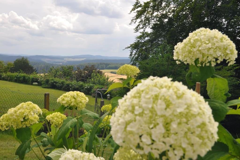 Geraeumige 2-Z Wohnung Im Gruenen, Garten, Terrasse, Ruhig, Natur, Phantastischer Blick! Marburg 外观 照片
