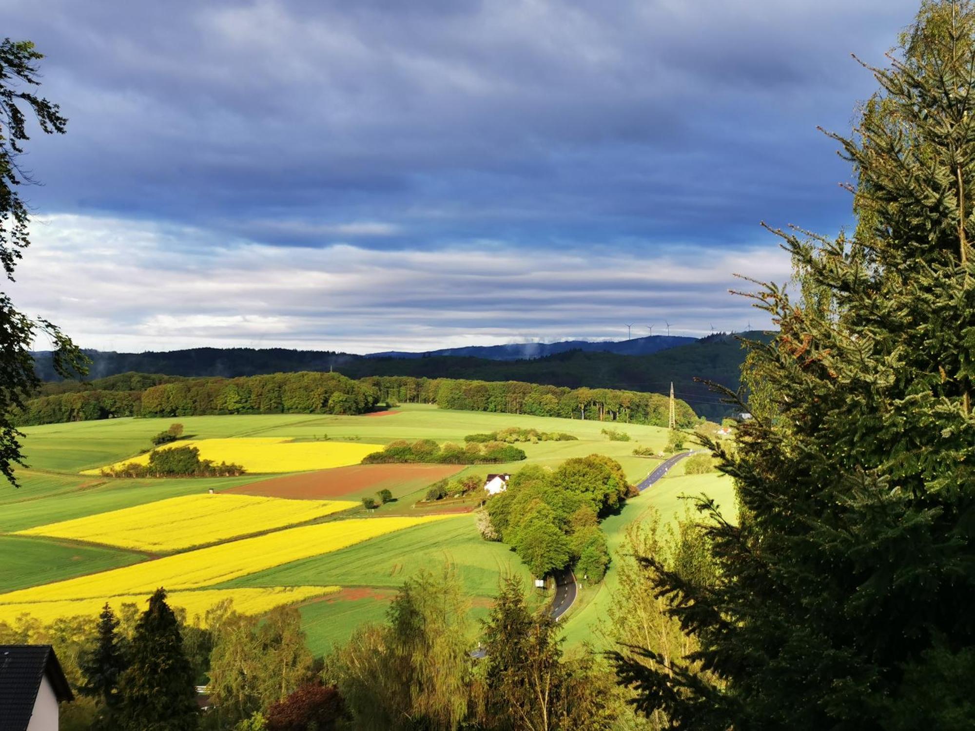 Geraeumige 2-Z Wohnung Im Gruenen, Garten, Terrasse, Ruhig, Natur, Phantastischer Blick! Marburg 外观 照片